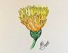 Aquarell, Fineliner, Blume, gelb, Kunst, Grafik Design, Maike Guthier, Grafik Dsign